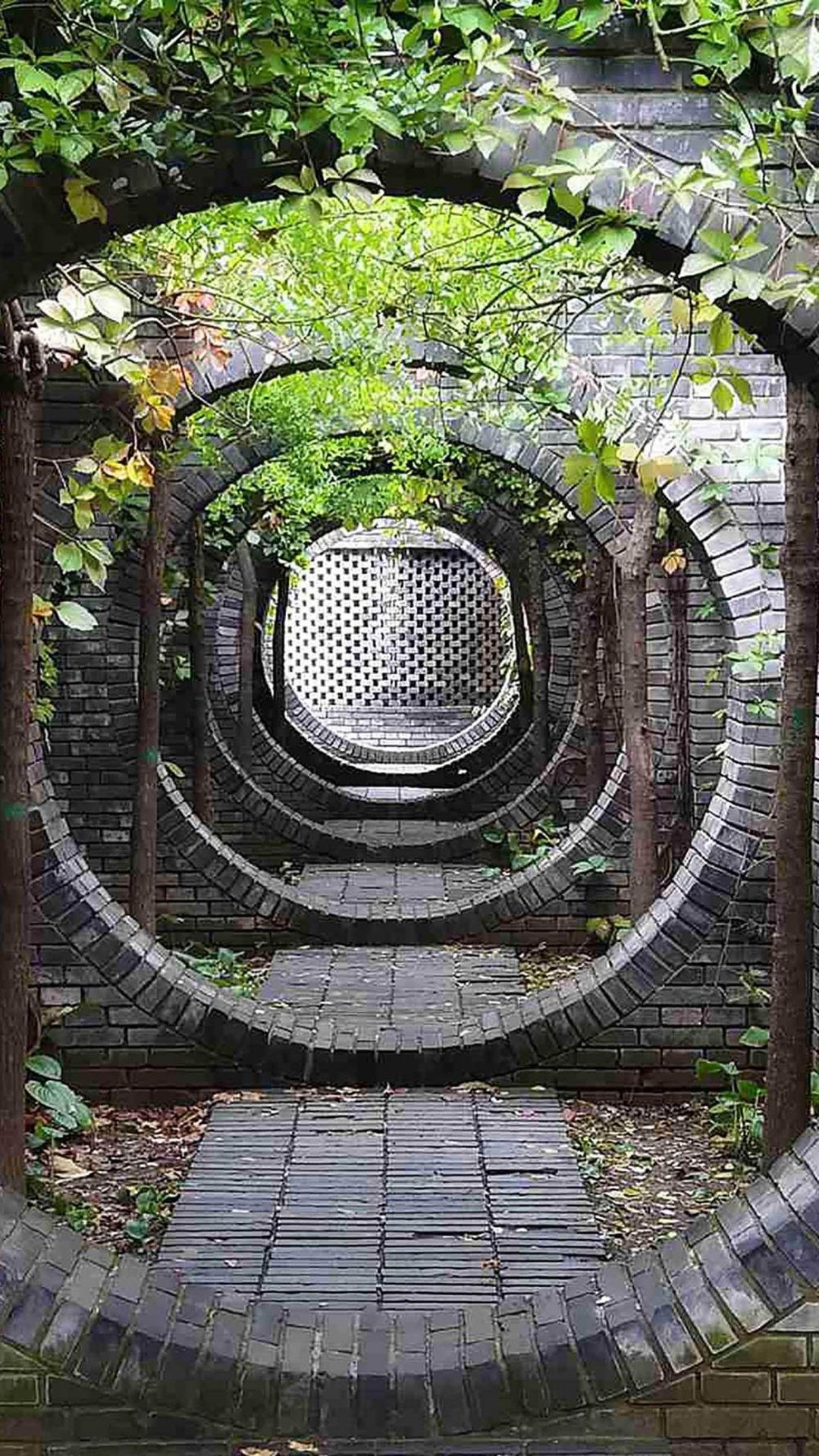 庭院深深深几许