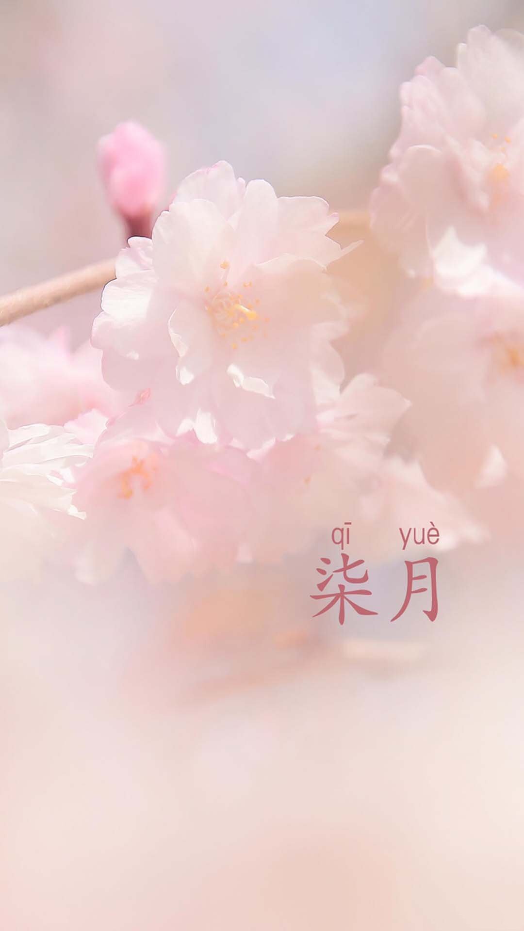 用力奔赴美好的七月