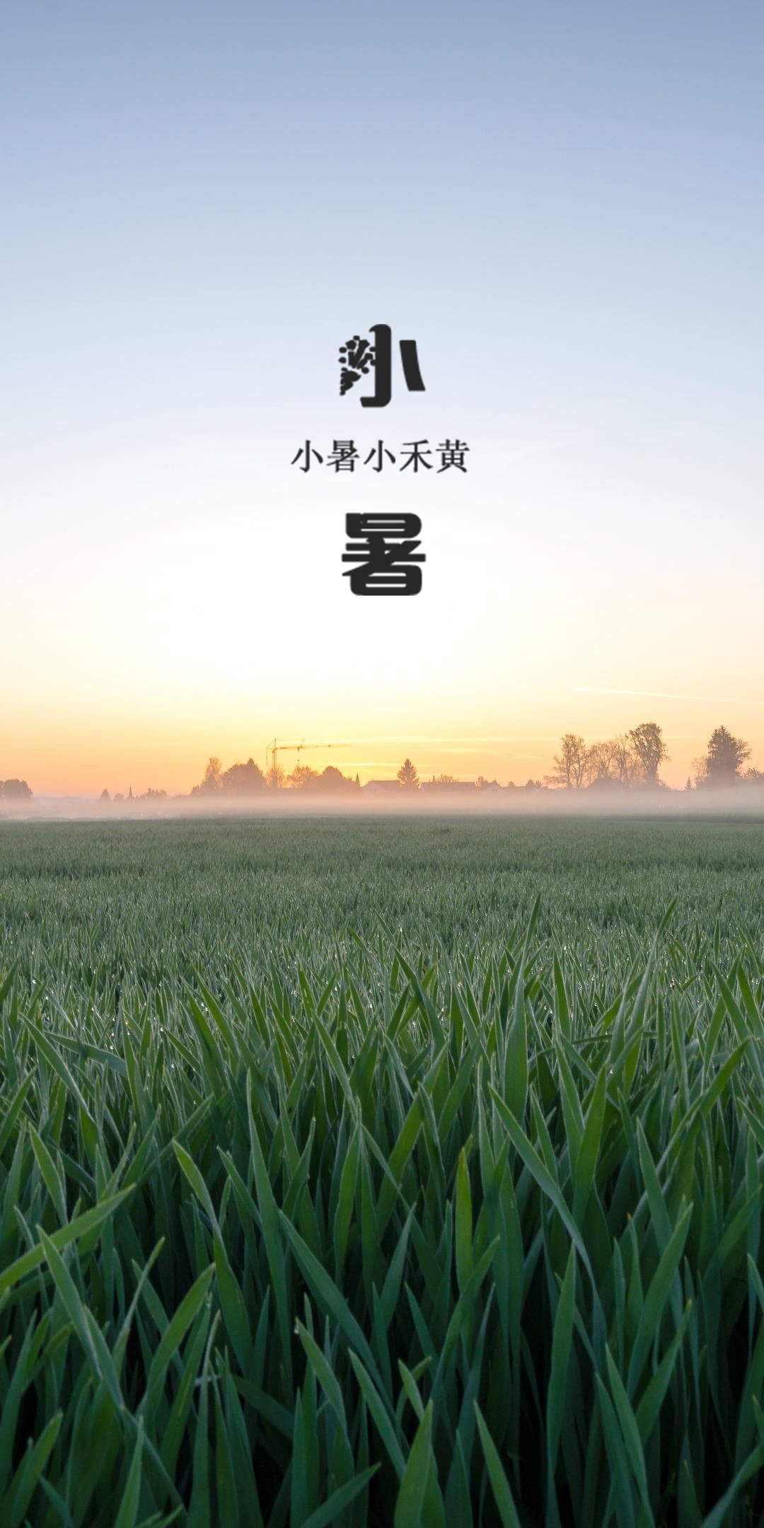 小暑之唯美田园风光