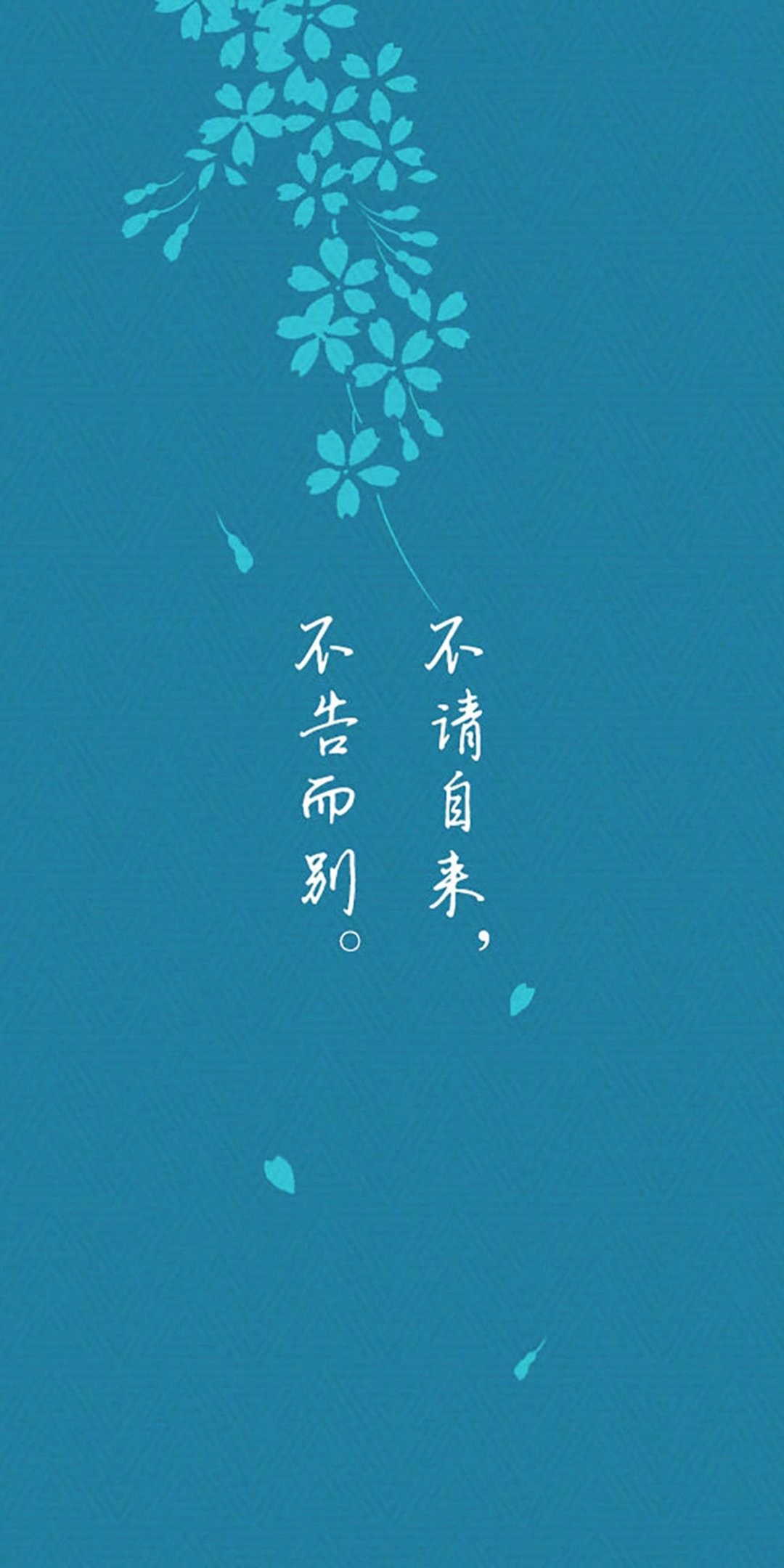 不告而别不请自来