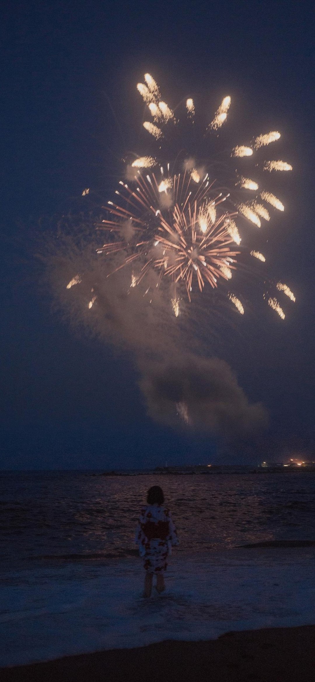 仲夏夜的美丽花火 高清图片 手机壁纸