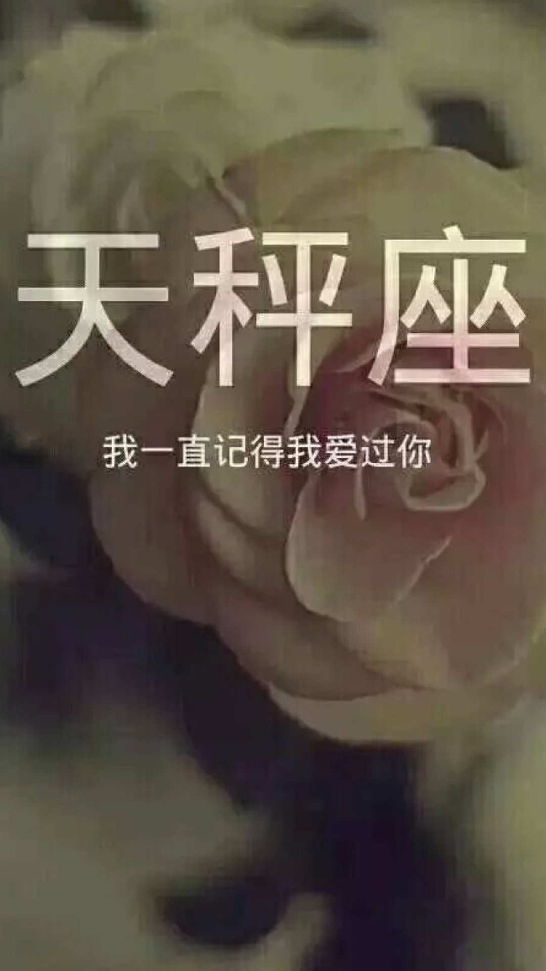 天秤座我一直记得我爱过你