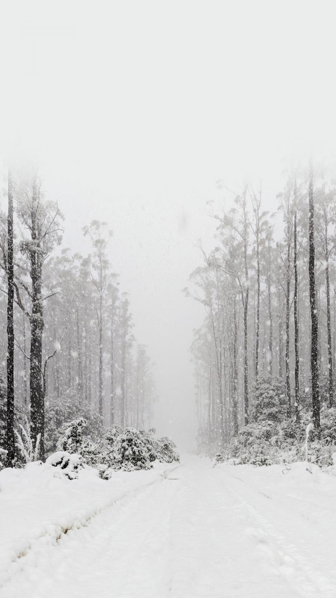 白雪皑皑的冬季唯美雪景,高清图片,手机壁纸