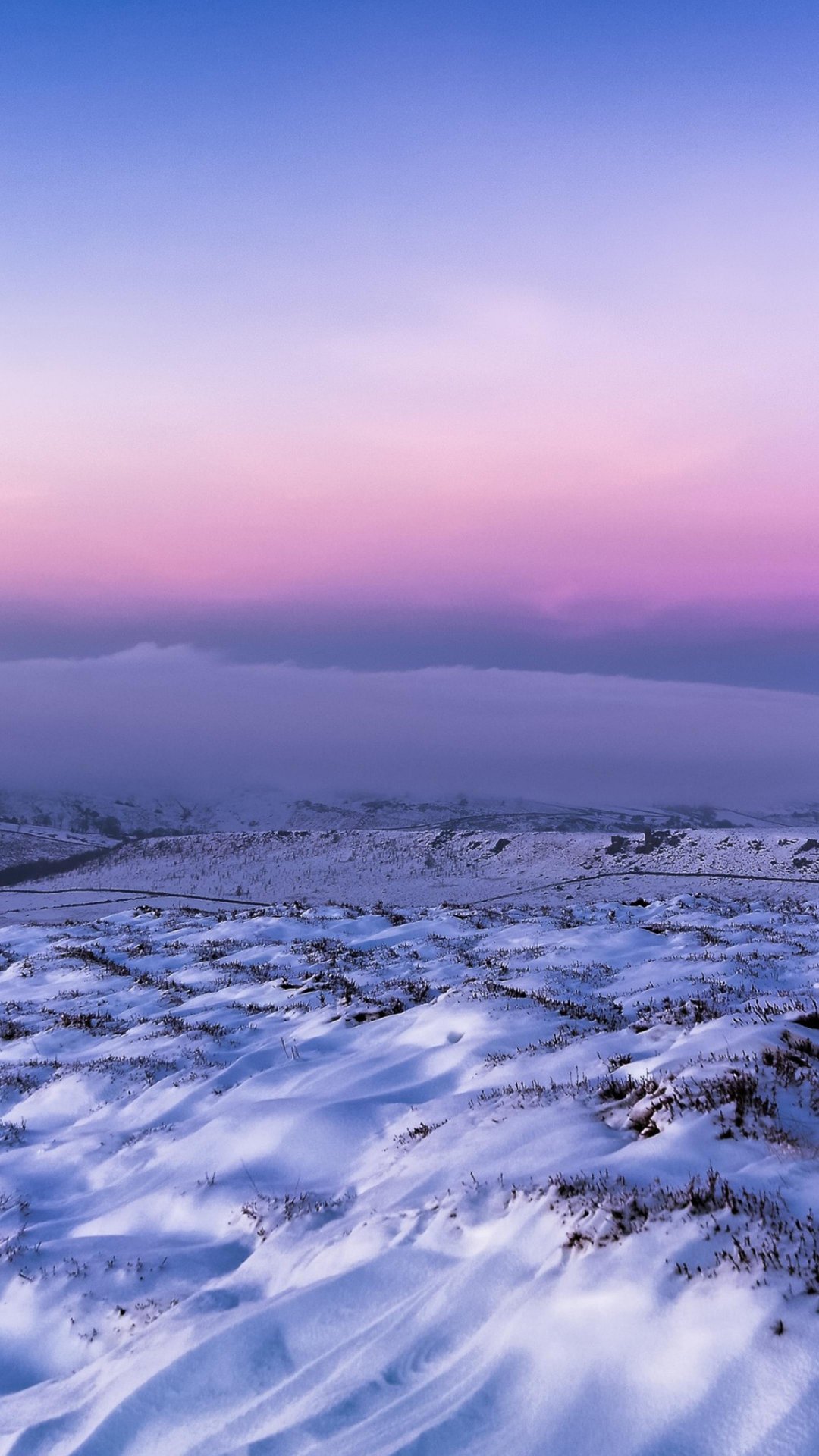 雪地图片大全背景图片