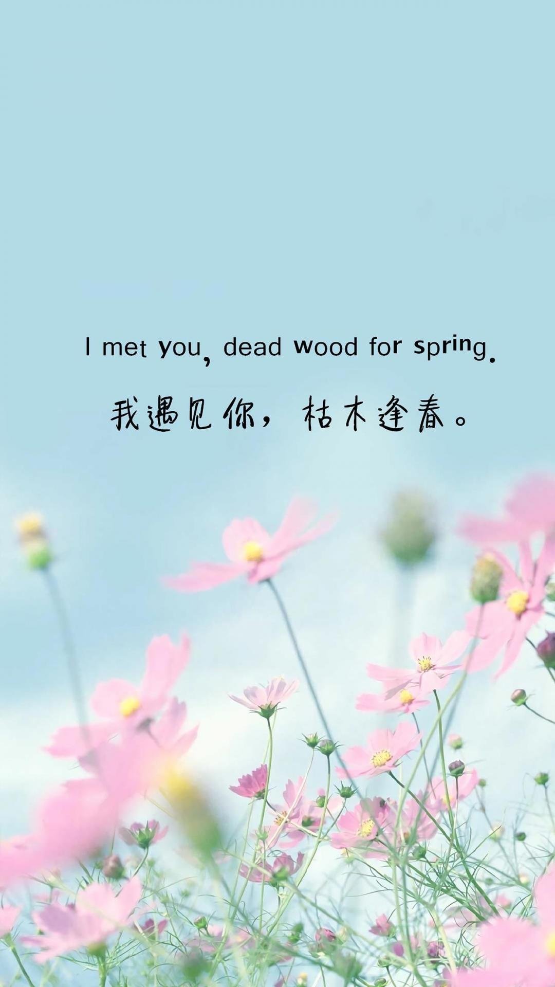 我遇见你枯木逢春