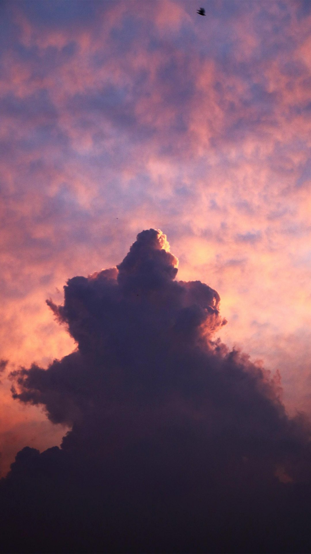 橘红色的天空代表着落幕