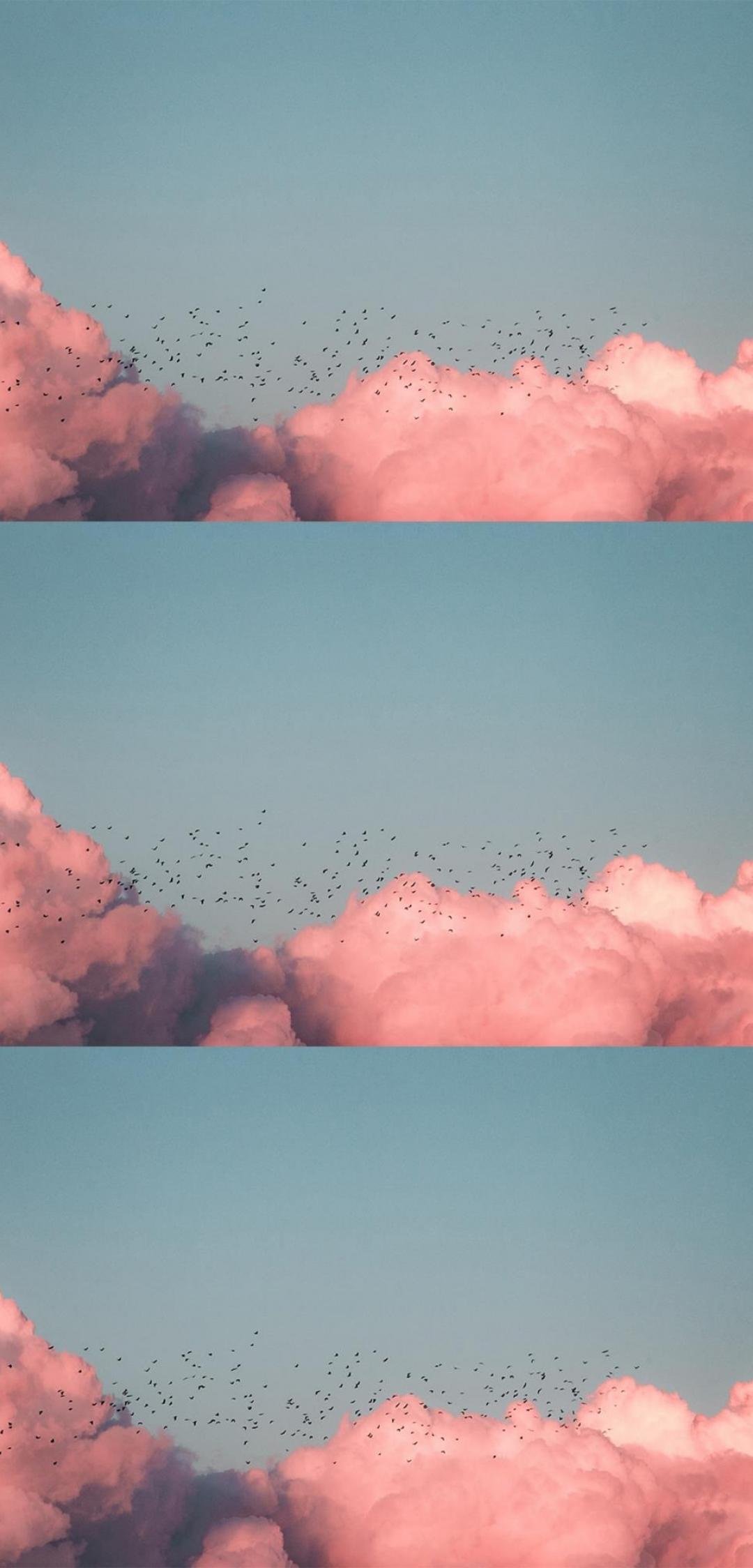 唯美粉嫩的云端之海,高清图片,手机壁纸