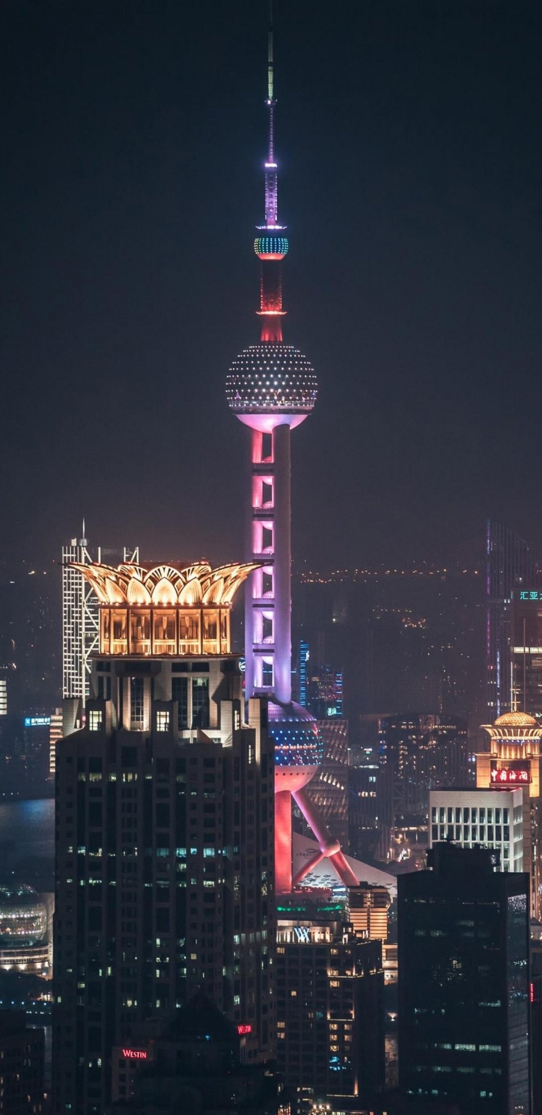 上海手机壁纸夜景图片
