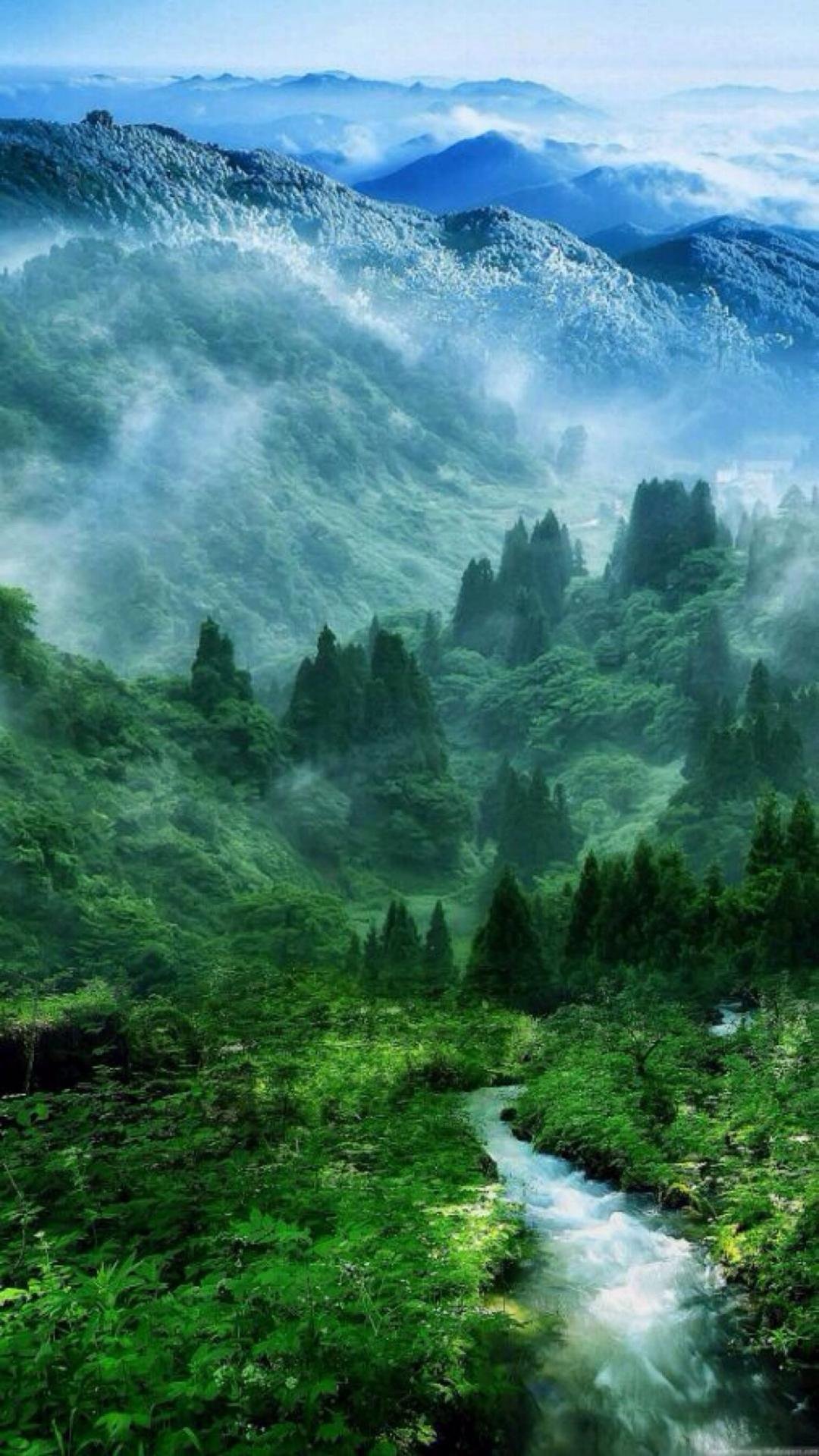 一看就舒心的图片