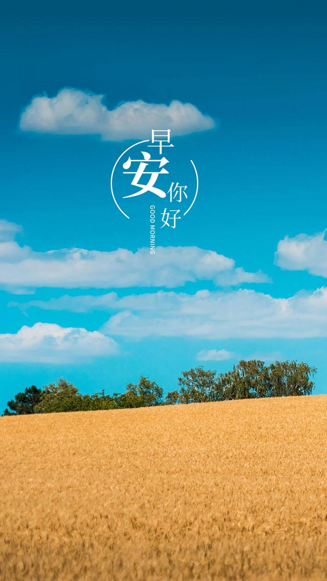 岁月静好早安你好