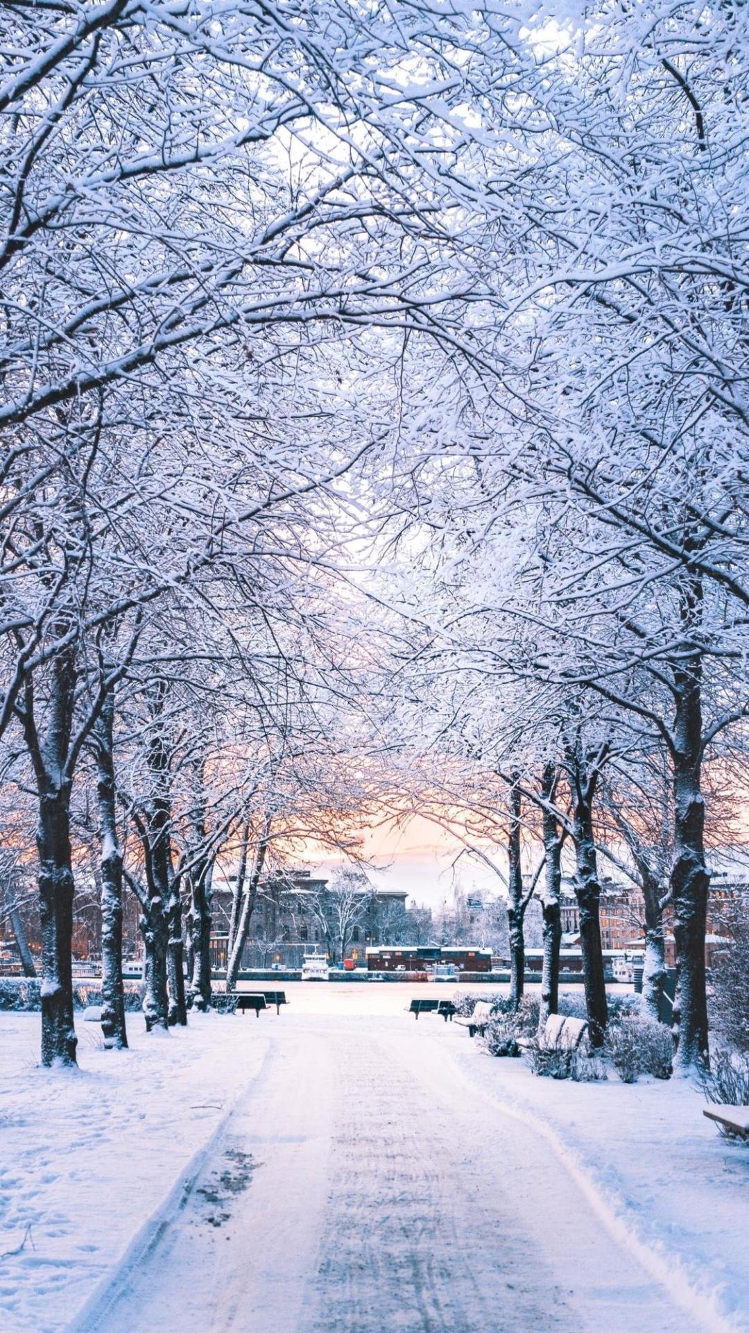 下雪景图片 冬天真实图片