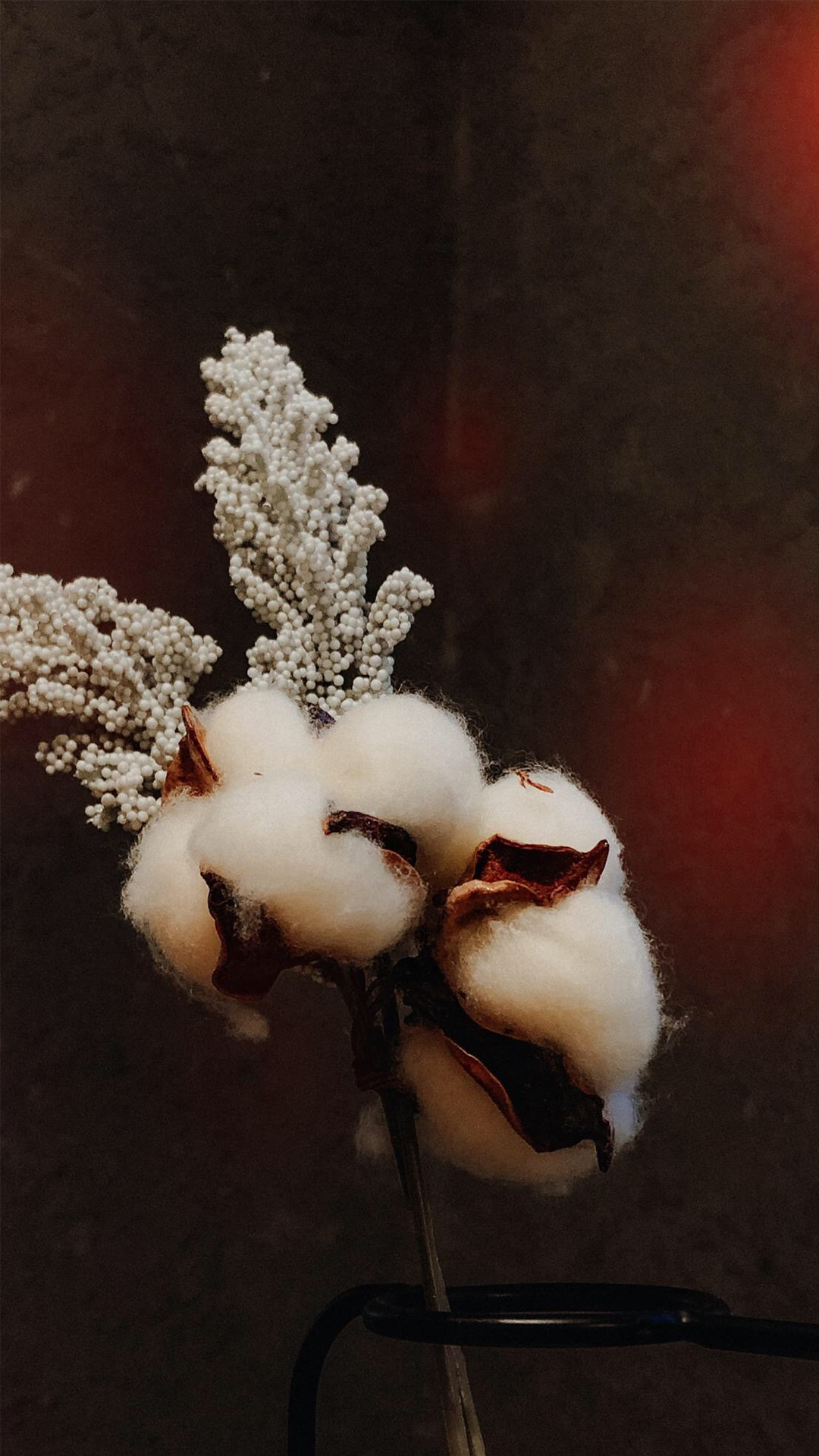 棉花清新质感摄影