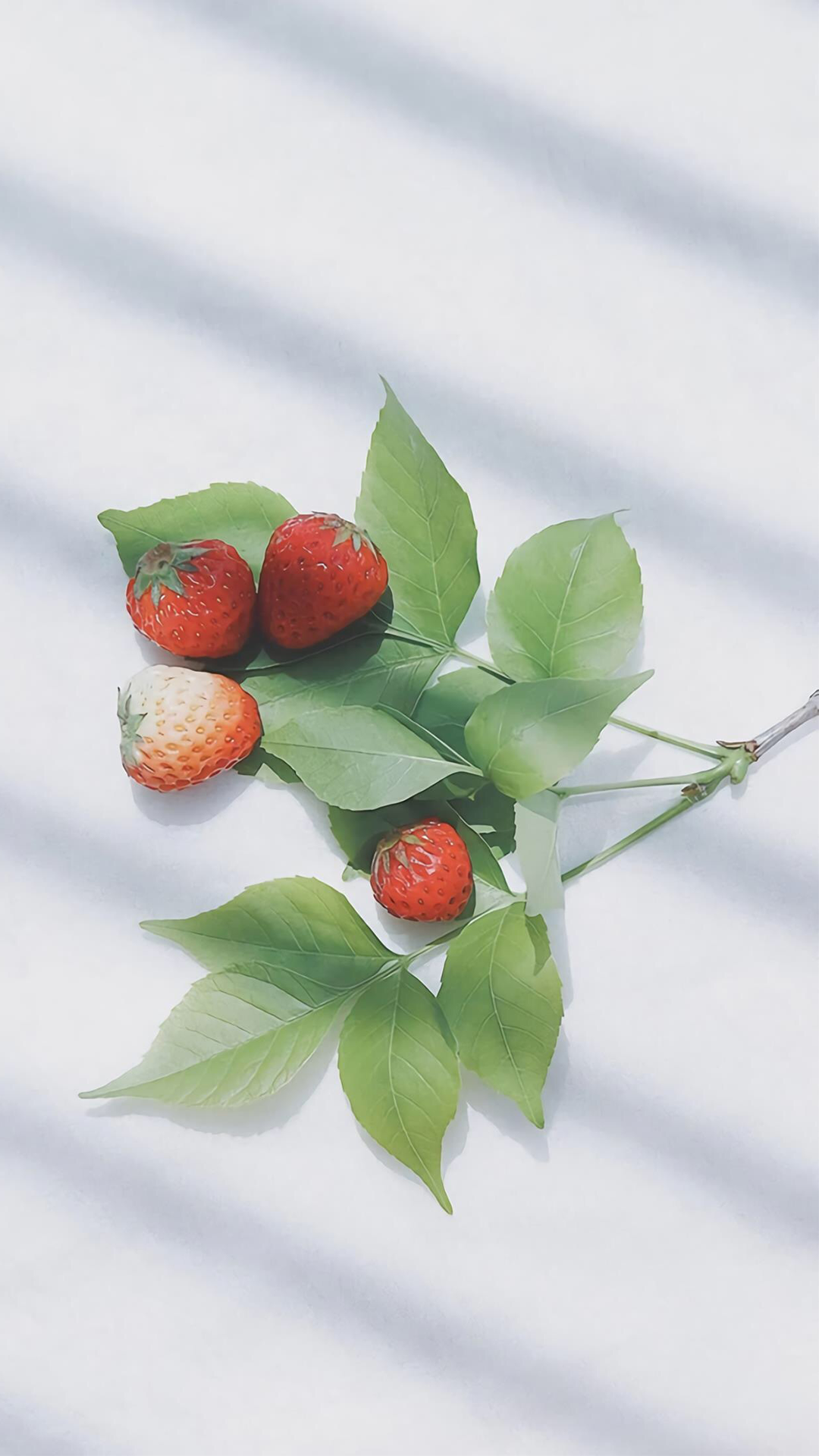 清新自然小草莓