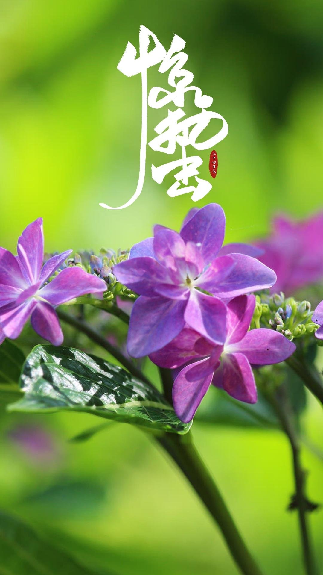 传统24节气之惊蛰,高清图片,手机壁纸