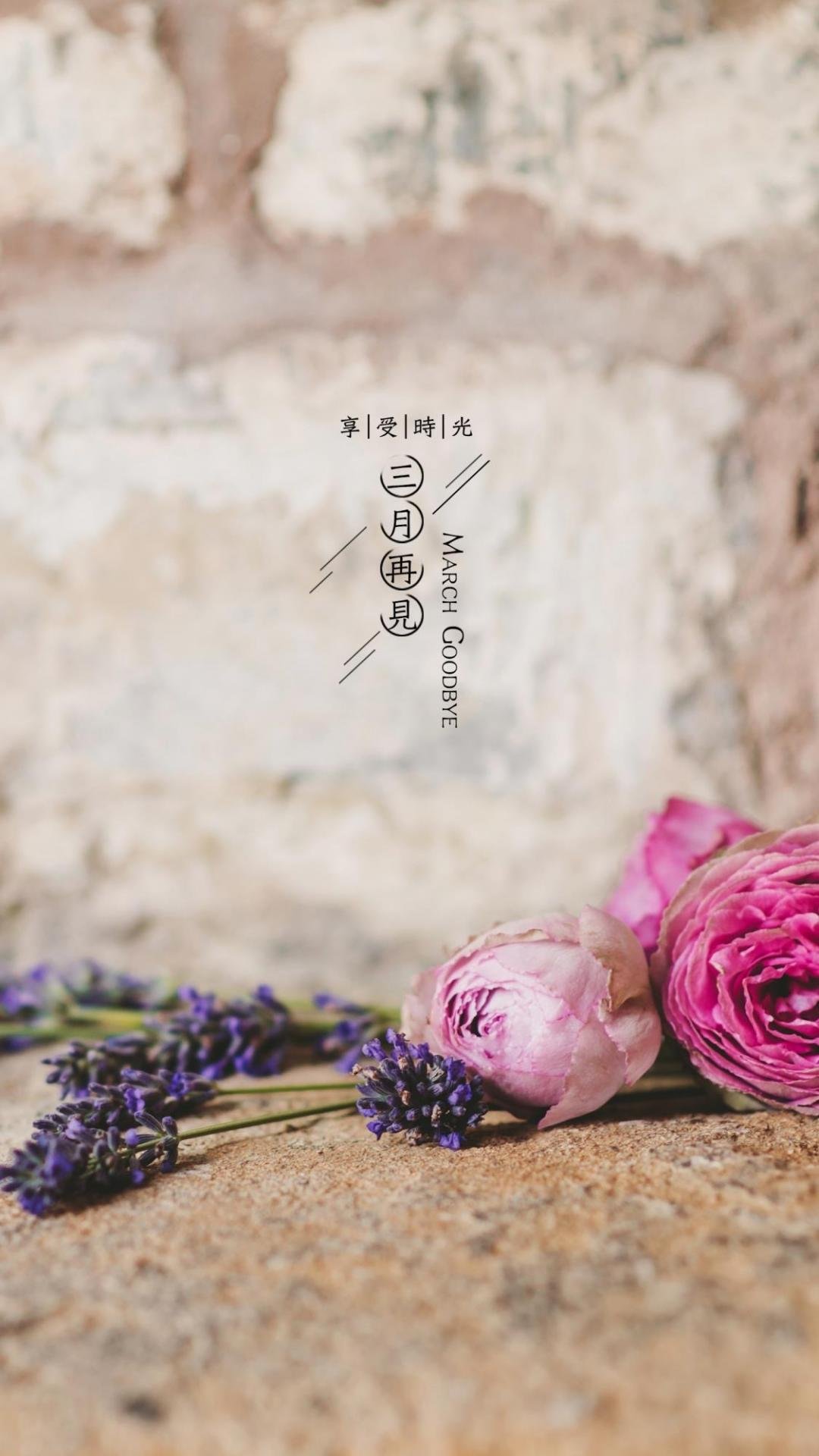 再见三月唯美背景图,高清图片,手机壁纸