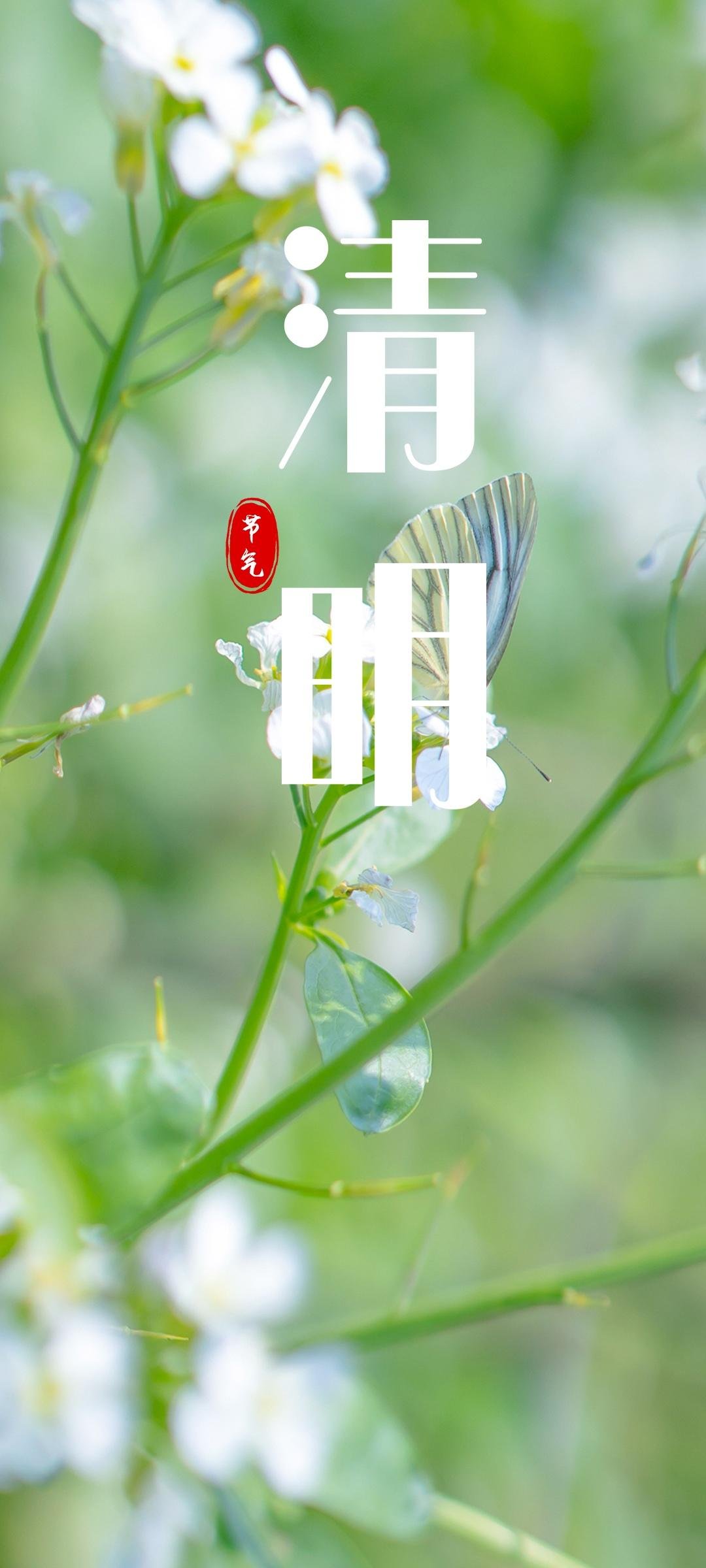 清明节气清新锁屏,高清图片,手机壁纸