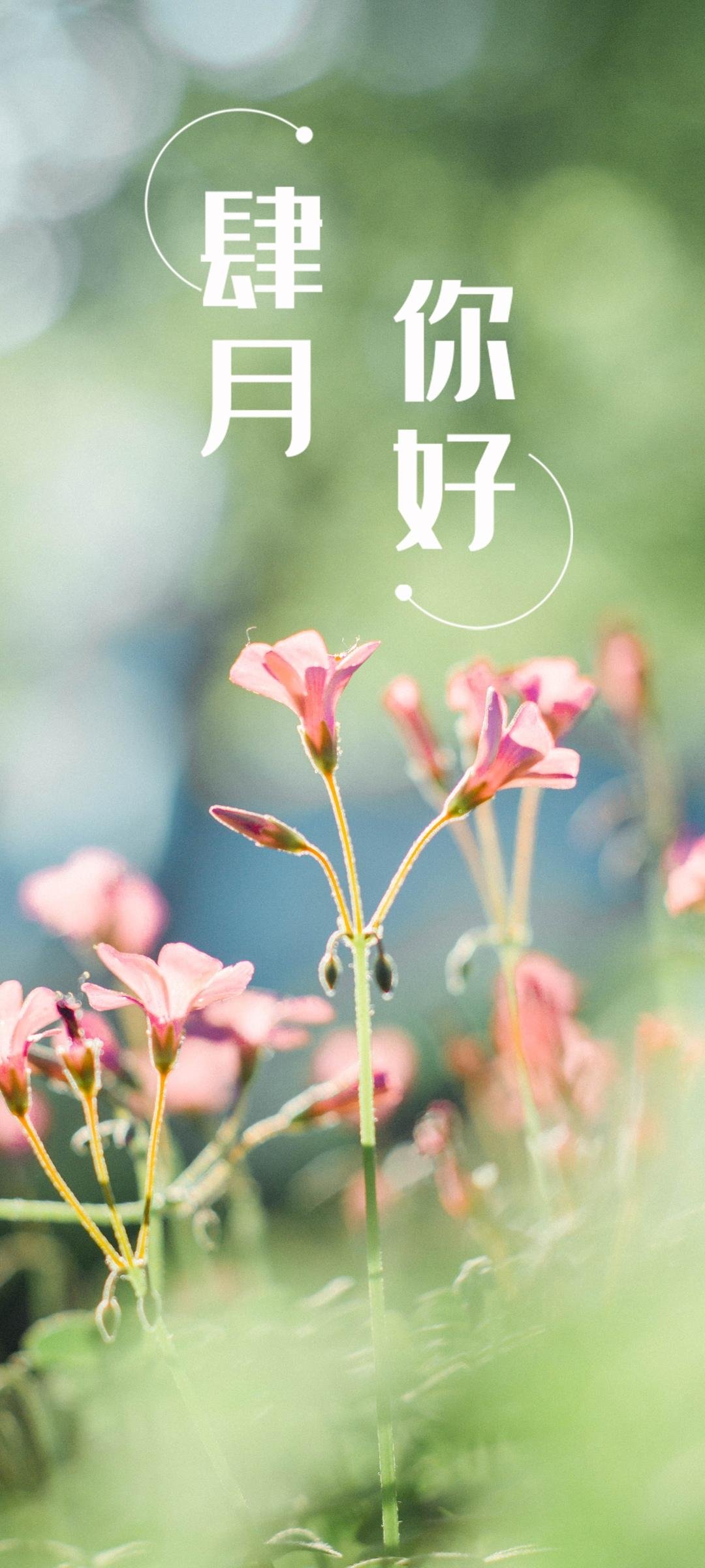 四月你好小清新锁屏