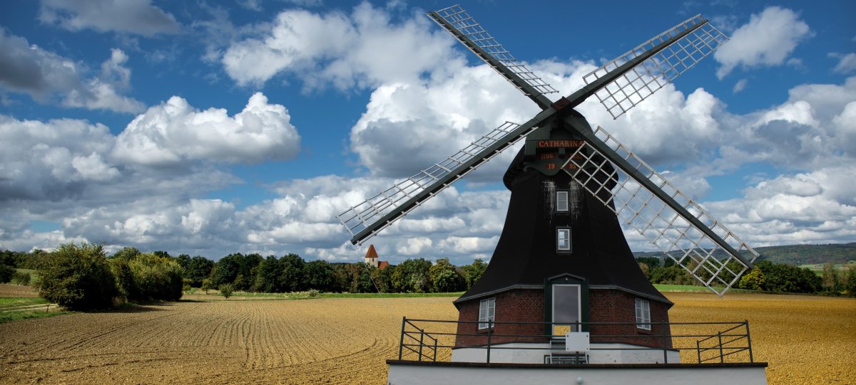 荷兰牧场风景图片图片