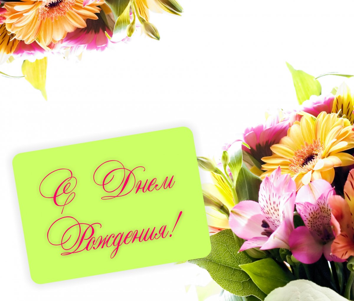 高清鲜花卡片图片下载,高清图片