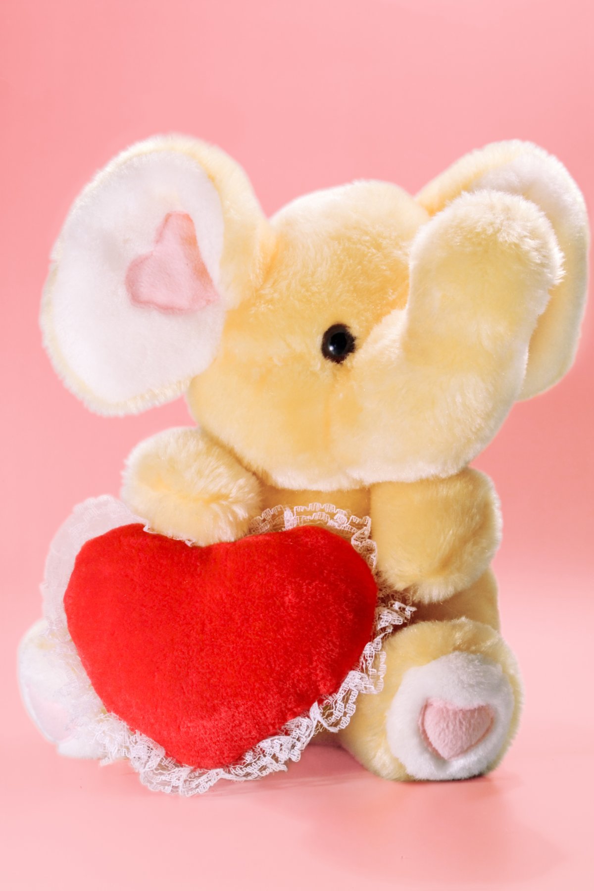 可爱小象布娃娃图片