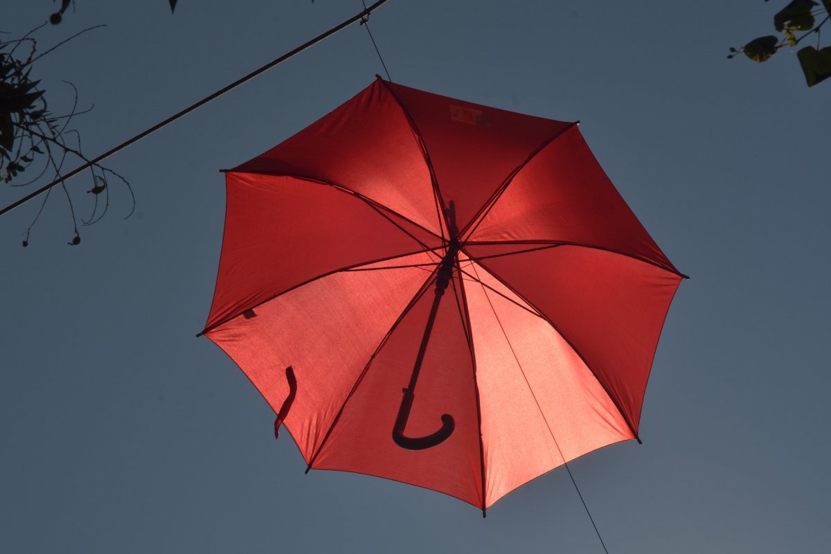 红色雨伞图片