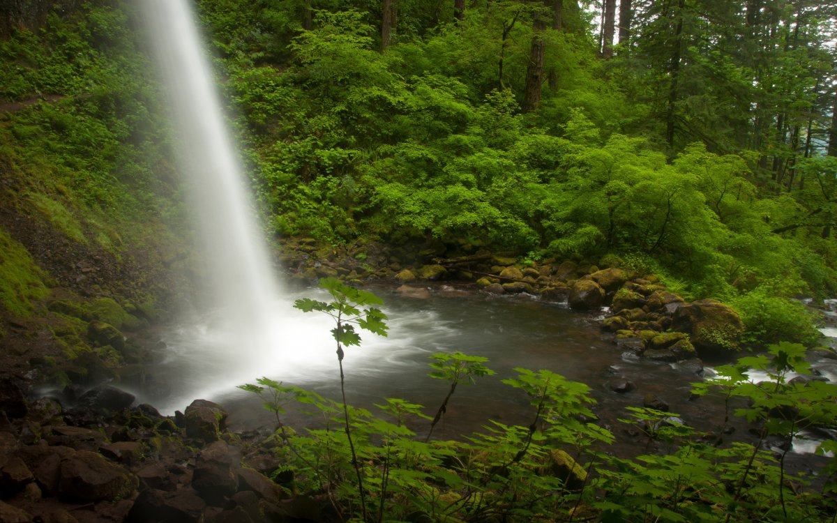 原生态瀑布流图片