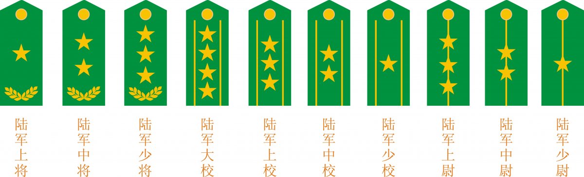 中国陆军军衔肩章图片