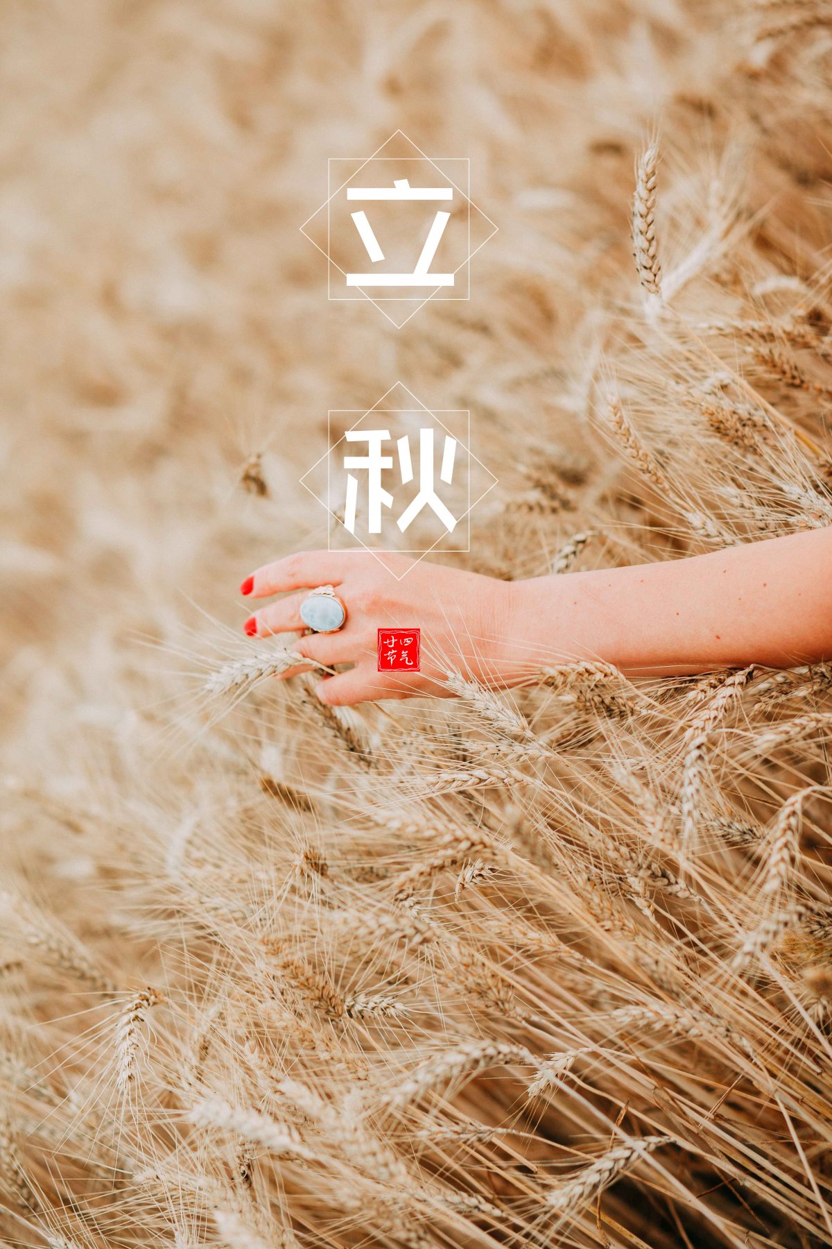 二十四节气立秋图片,高清图片