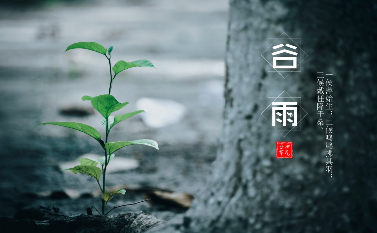 穀雨物候圖片,高清圖片