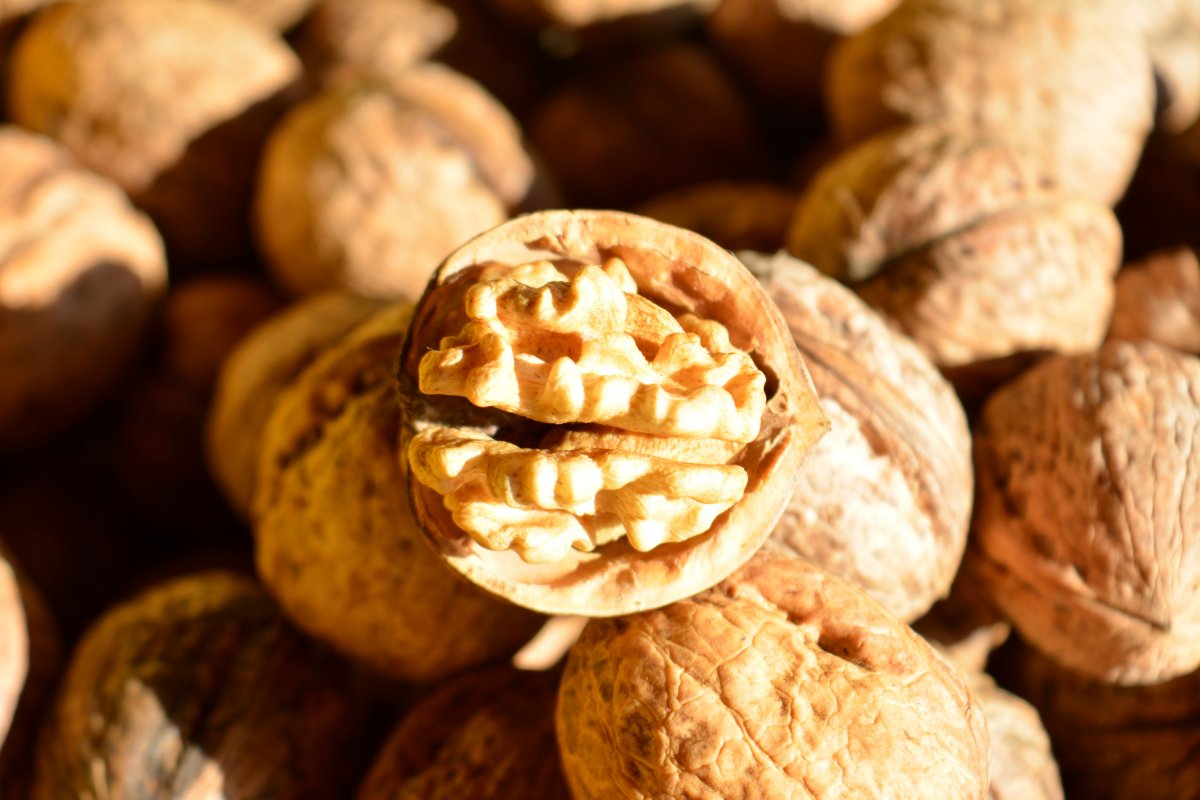 核桃坚果图片,高清图片