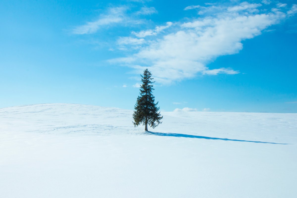 蓝天雪地电脑桌面背景图片