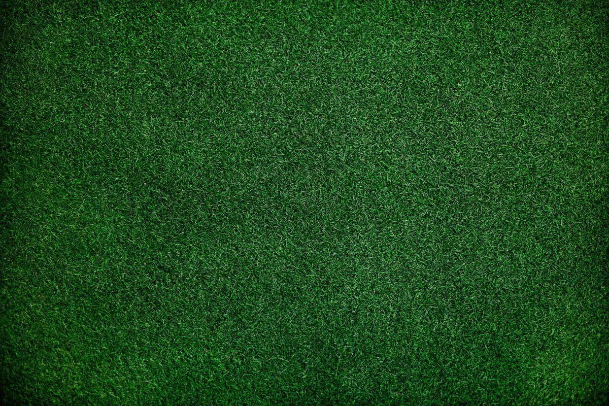 高清深绿色壁纸自然图片