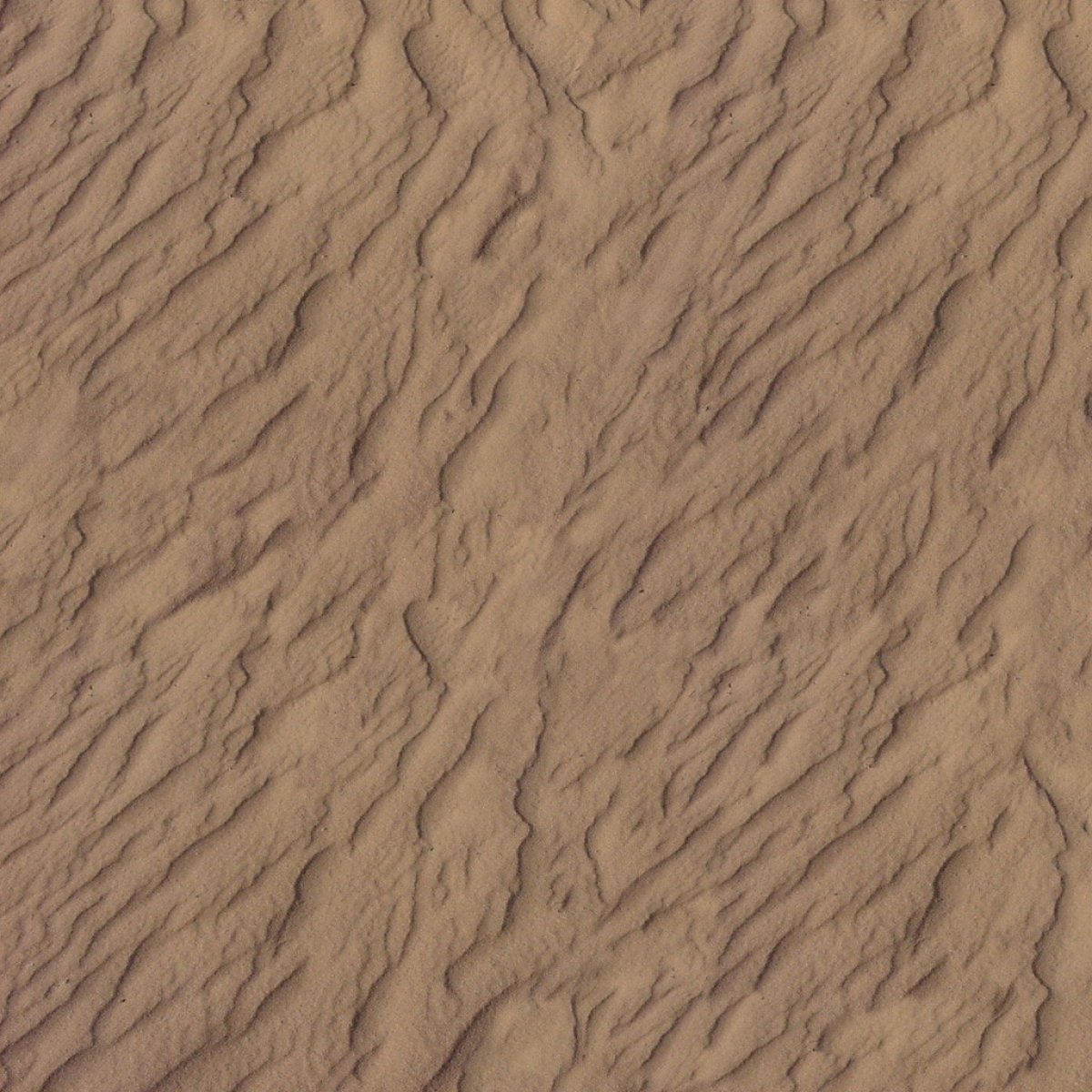 沙地背景图片素材