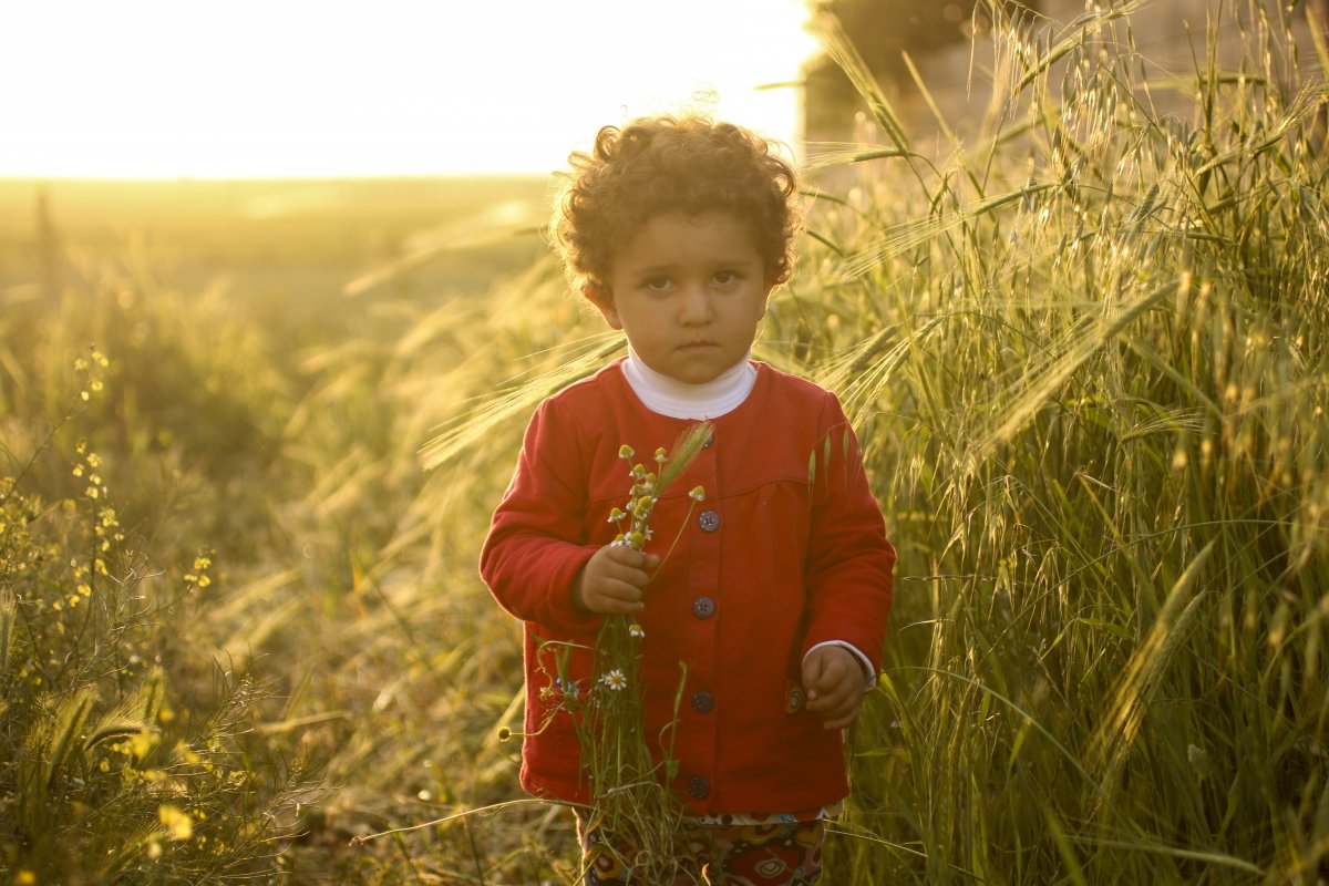麦田里的小孩图片,高清图片