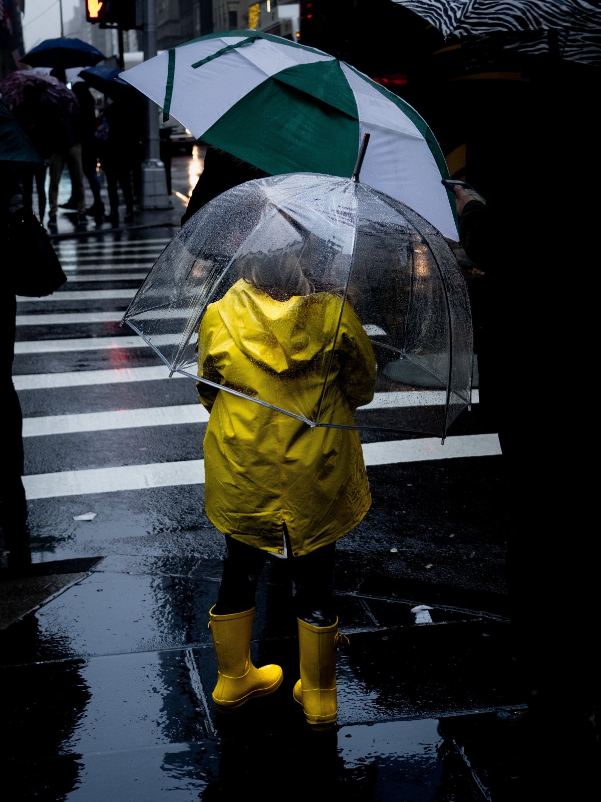 下雨撑伞的照片真实图片
