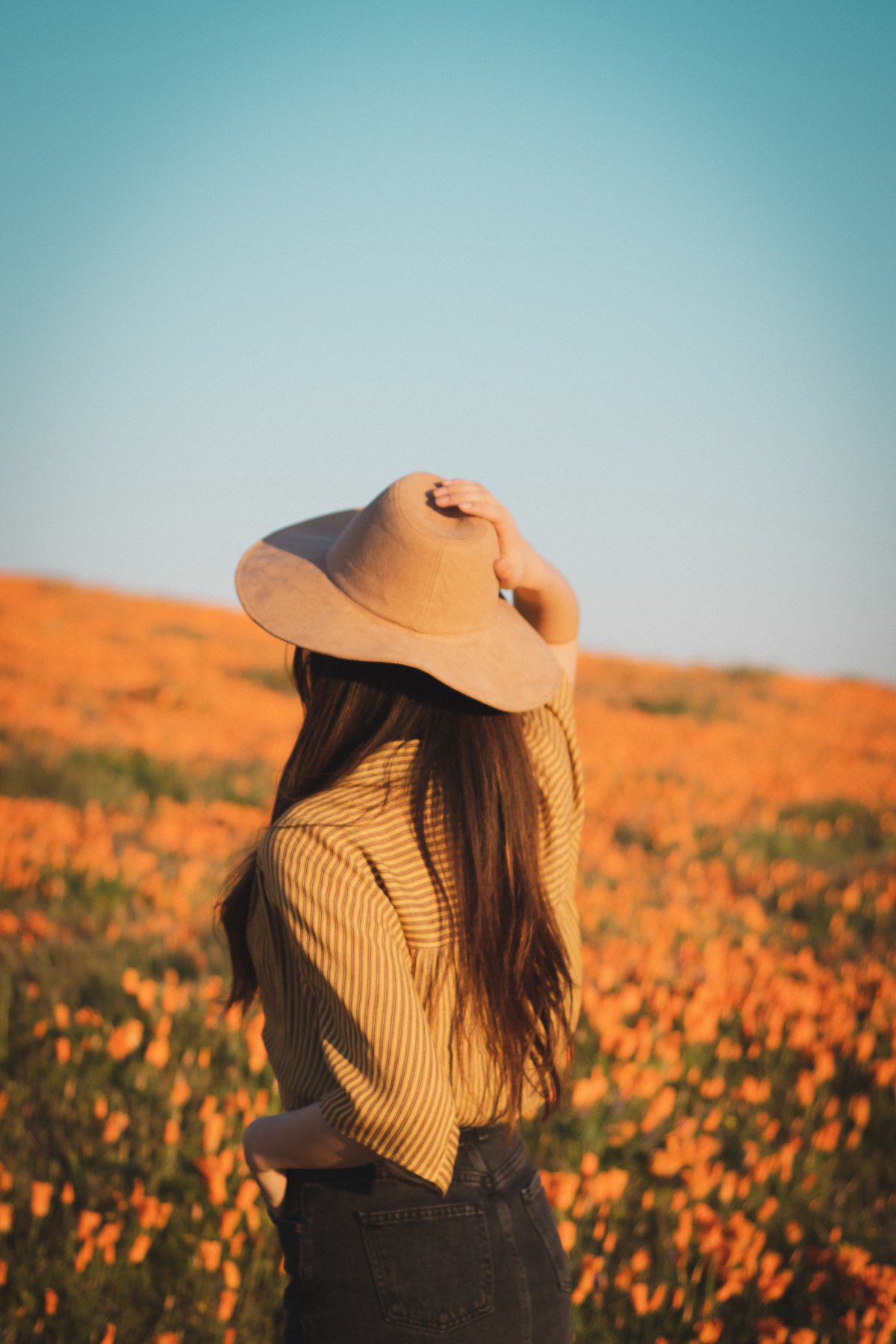 唯美花海美女背影图片,高清图片