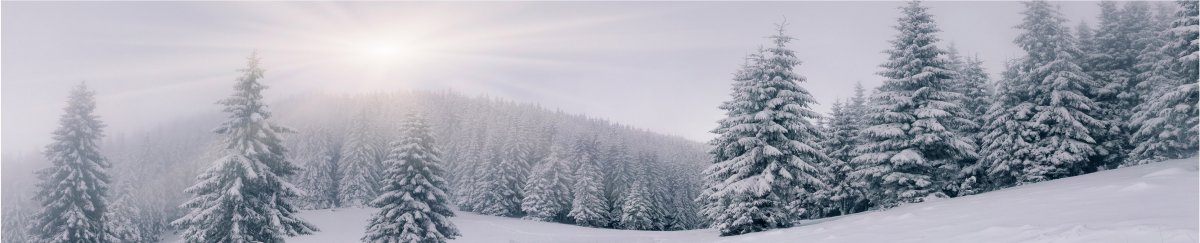 冬天雪景圖片