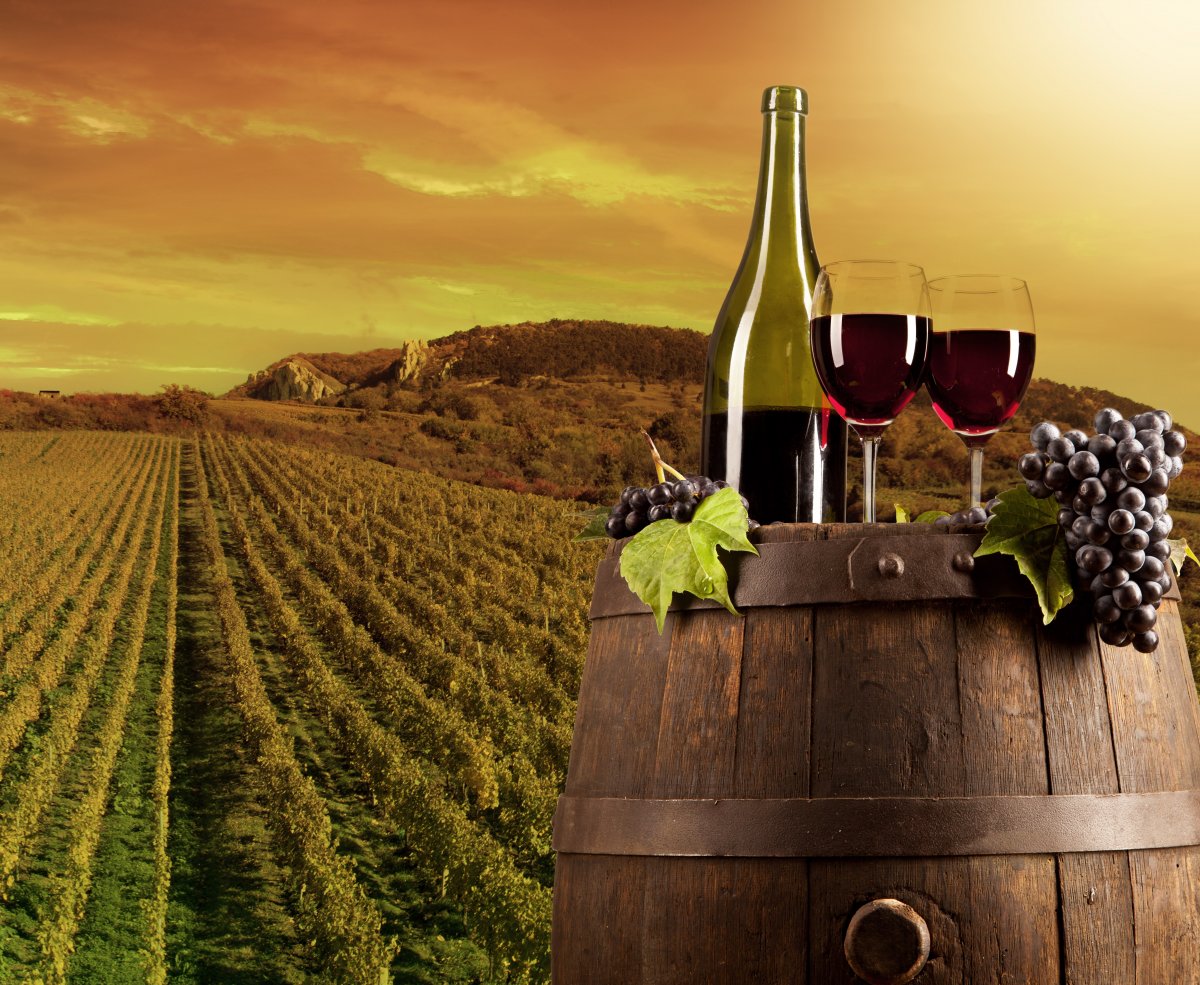 葡萄庄园风景图片