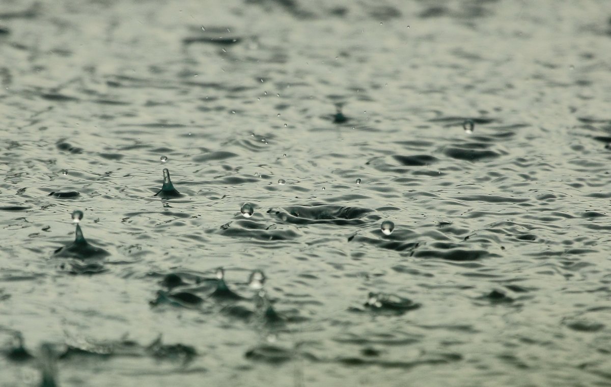 下雨天雨水圖片