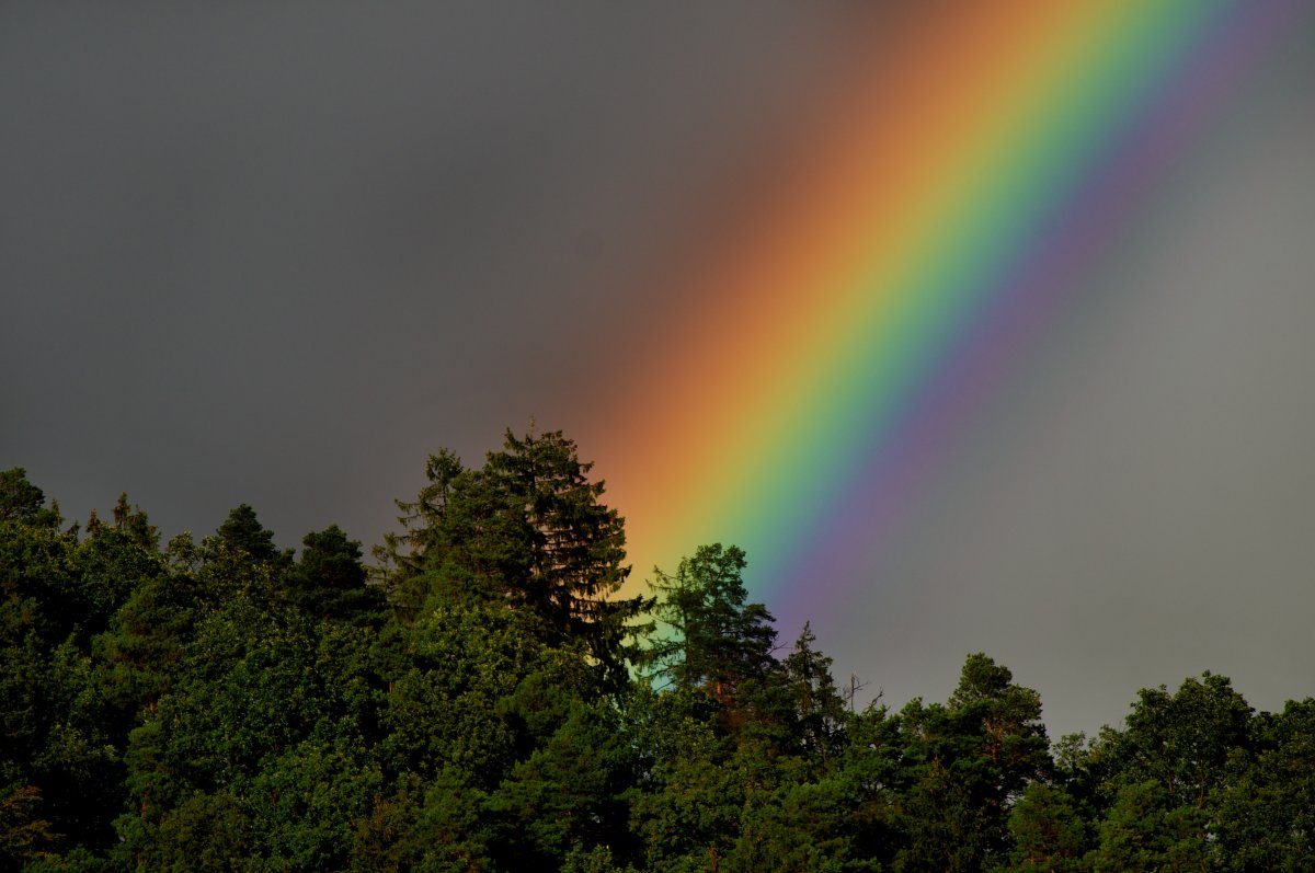 最美的彩虹图片真实图片