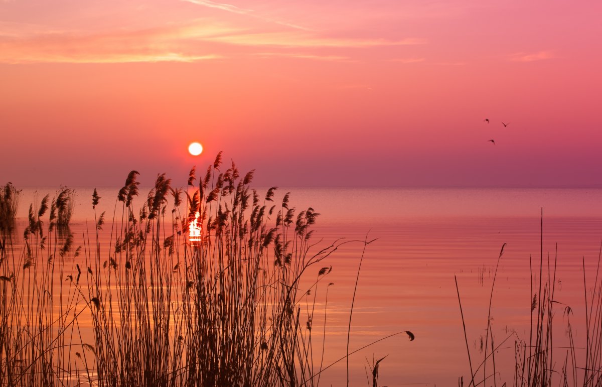 大海夕陽唯美圖片,高清圖片