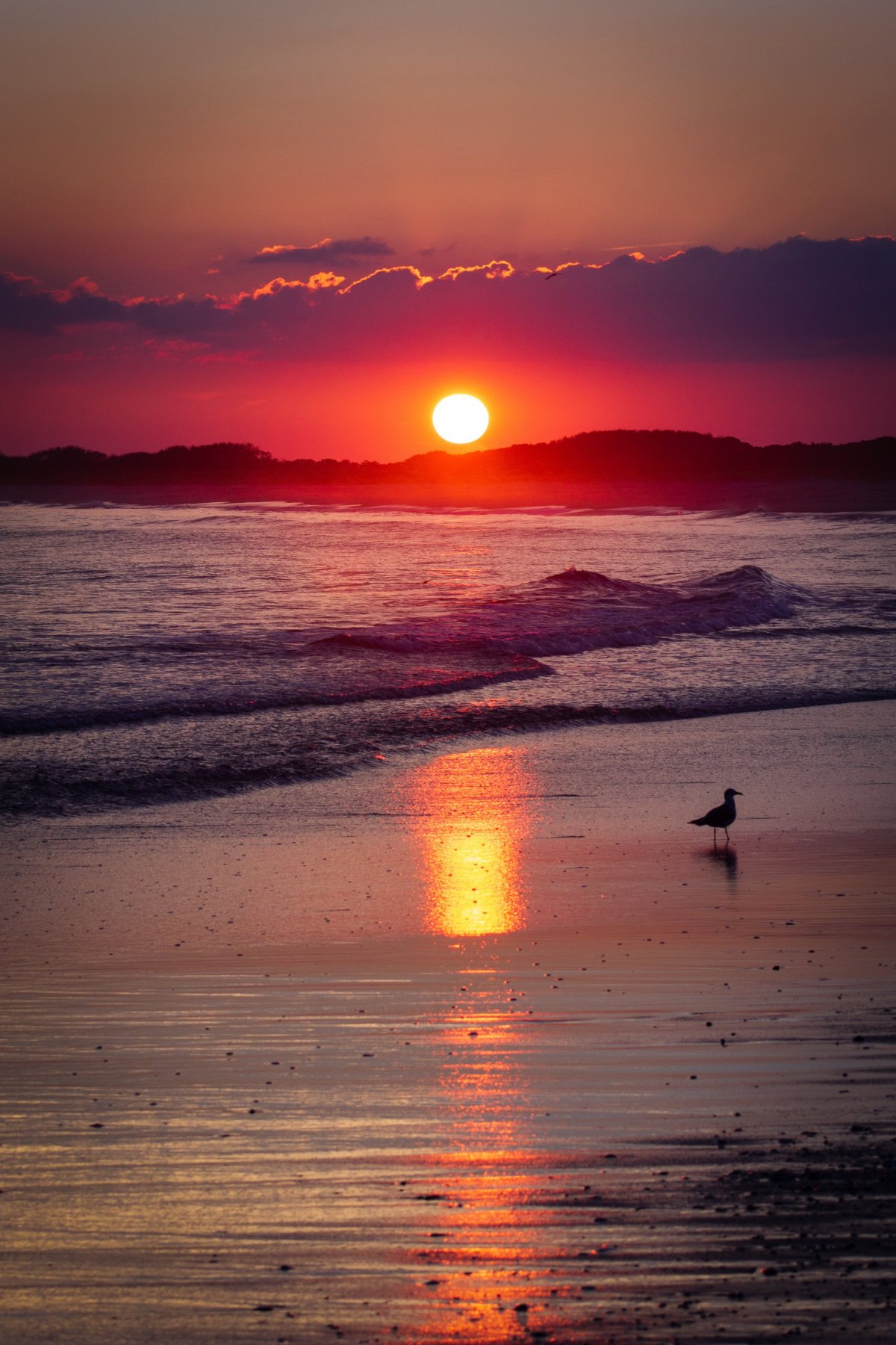 海边日落美景图片