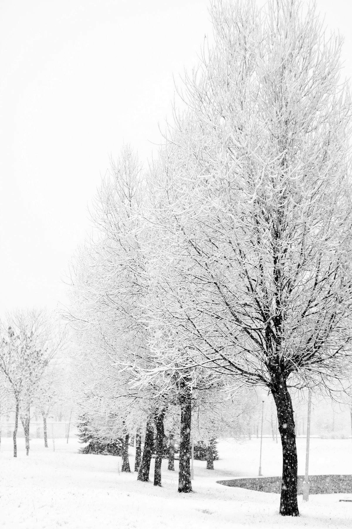 下雪照片 景色图片