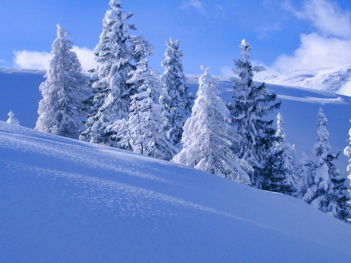 東北雪景圖片,高清圖片