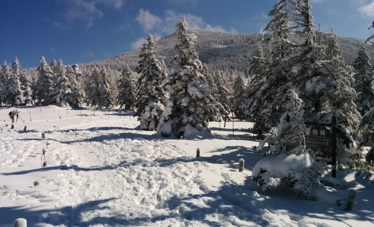 冬天高山雪地風景圖片