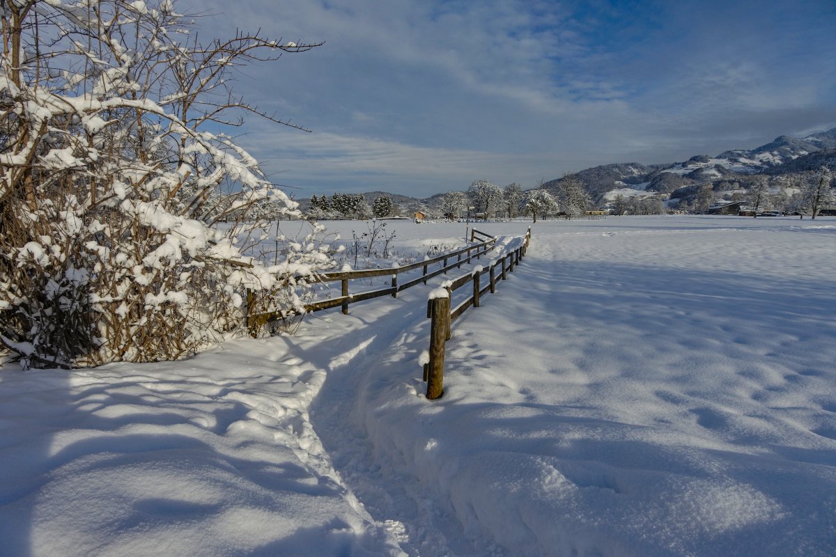 寒冬白色雪景圖片