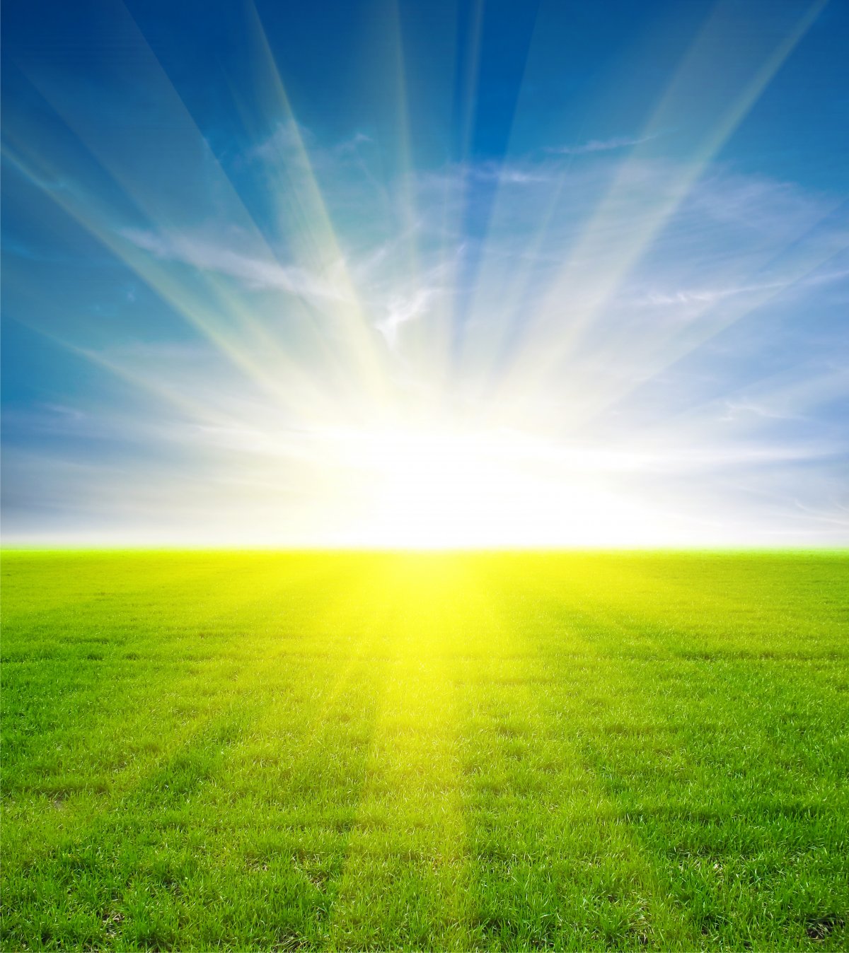 高清草地风景图片