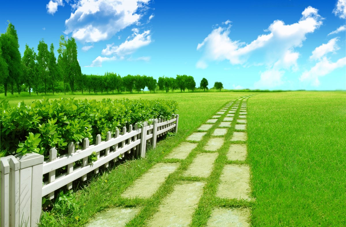 野外风光图片,高清图片