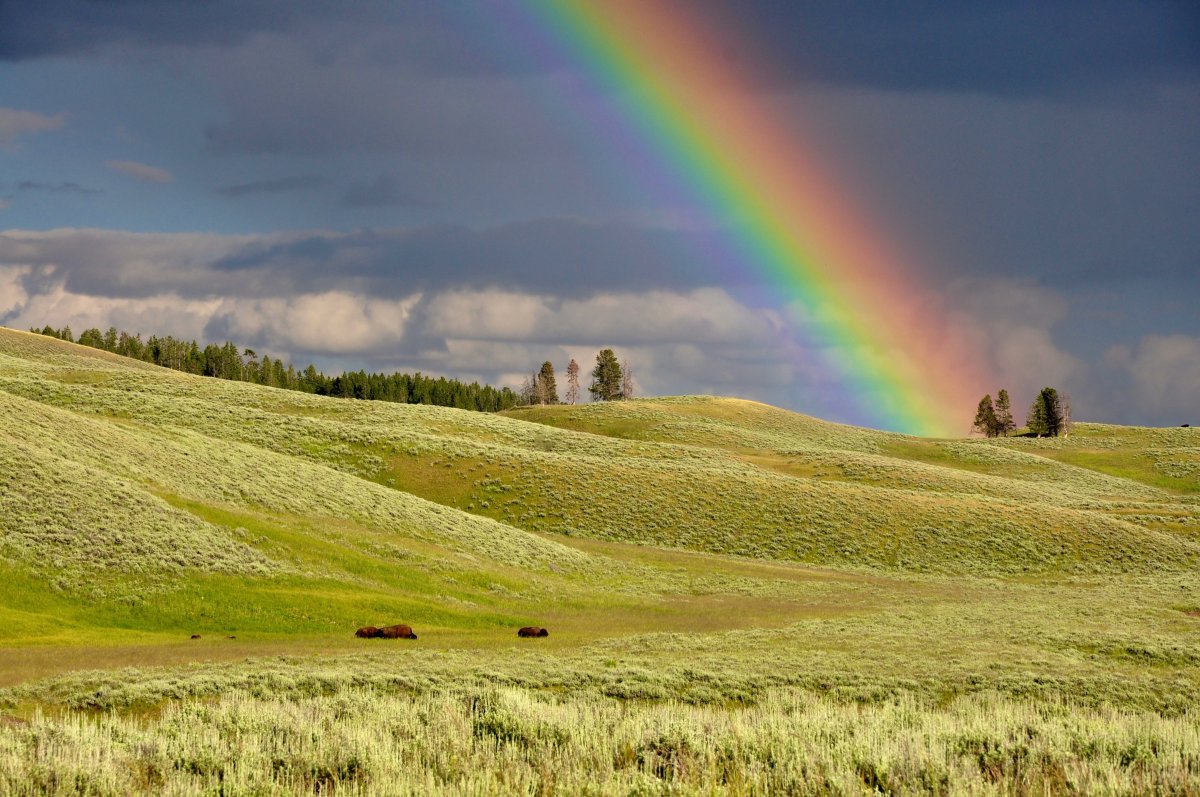 彩虹照片真实照片农村图片
