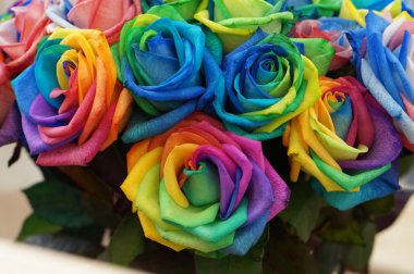 高清玫瑰花图片-花草图片-第6页